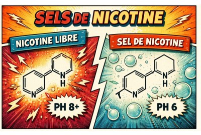 Illustration pédagogique en style bande dessinée expliquant la différence entre la nicotine libre et le sel de nicotine