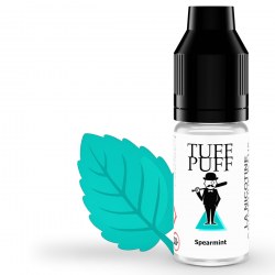 Flacon de e-liquide TUFF PUFF Spearmint accompagné d’une grande feuille de menthe verte douce et des glaçons, sur fond blanc épuré, illustrant une sensation de fraîcheur intense.