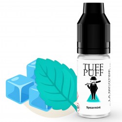 Flacon de e-liquide TUFF PUFF Spearmint accompagné d’une grande feuille de menthe verte douce et des glaçons, sur fond blanc épuré, illustrant une sensation de fraîcheur intense.